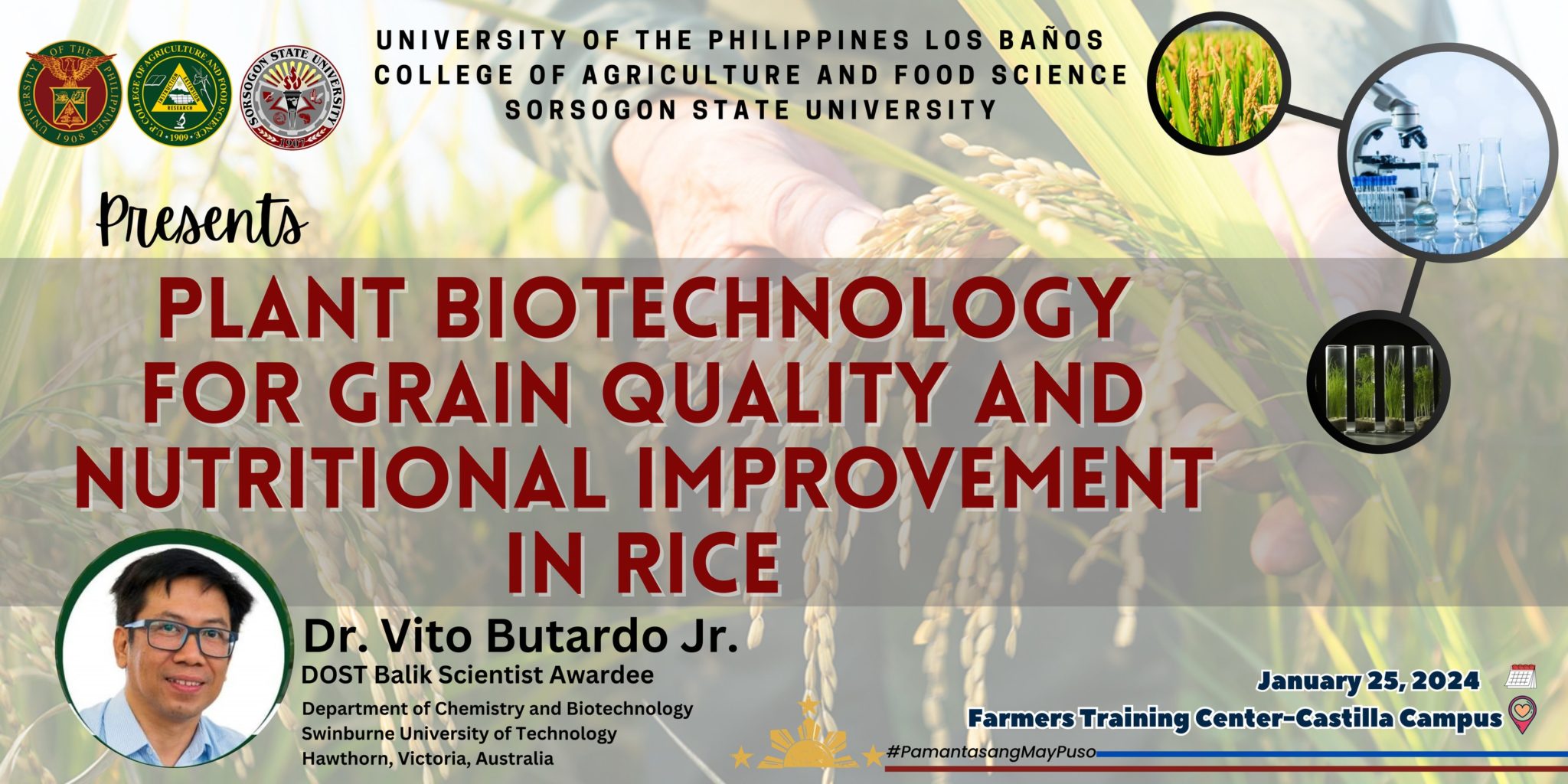 ANNOUNCEMENT: UPLB and SorSU collabs in ‘Plant Biotechnology for Grain ...